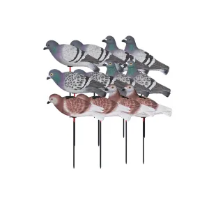 AVERY 12-Pack Hunter Series Full Body Pigeon Decoys (72240)