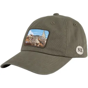 BERETTA Nebraska USA 250 Year Rifle Green Hat (BNE67T1562071J)