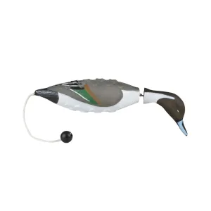 AVERY Pintail EZ Bird (02030)