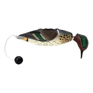 AVERY Green-Winged Teal EZ Bird (02010)