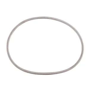 HORNADY Lock-N-Load AP Press Shell Plate Retainer Spring (392370)