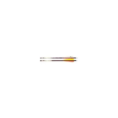 Gold Tip Expedition Hunter 3555 2 inch Vanes DZ