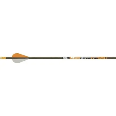 Gold Tip KINETIC Hunter BG 200 SH DZ