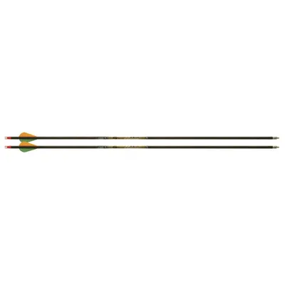 Gold Tip Pro Hunter 7595 2 inch Vanes DZ