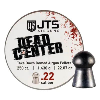 JTS Group Dead Center .22 Cal 21.53 Grain 250-Rounds Domed