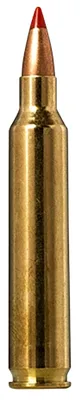 Norma Tipstrike Brass .204 RUG 40 Grain 20-Rounds