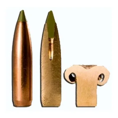 Nosler Ammunition 59298 E-TIp 270 130 SPTZR 50