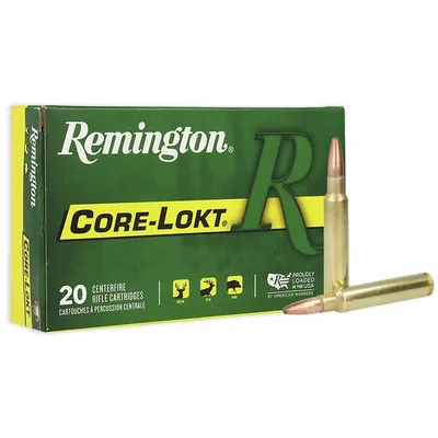 Remington Core-Lokt .338 RUM 250 Grain 20-Rounds PSP