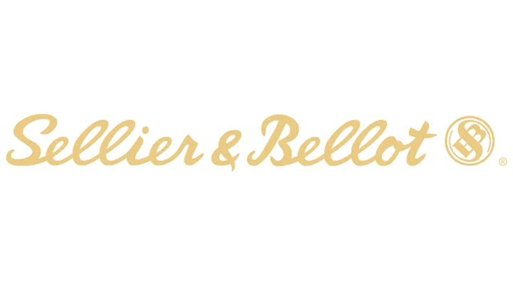 Sellier and Bellot Rifle .45-70 Government 405 Grain 20-Rounds SP