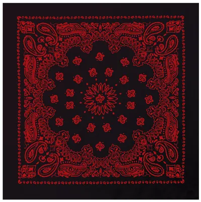 Rothco Trainmen Paisley Bandana Extra-Large - 27 X 27, Black - Red