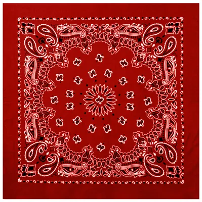 Rothco Trainmen Paisley Bandana Extra-Large - 27 X 27, Red - White
