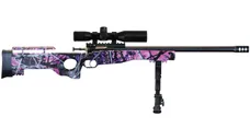 Davey Crickett Crickett Precision Rifle