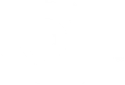 Colt